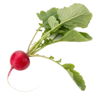 Imagen PNG para descargar